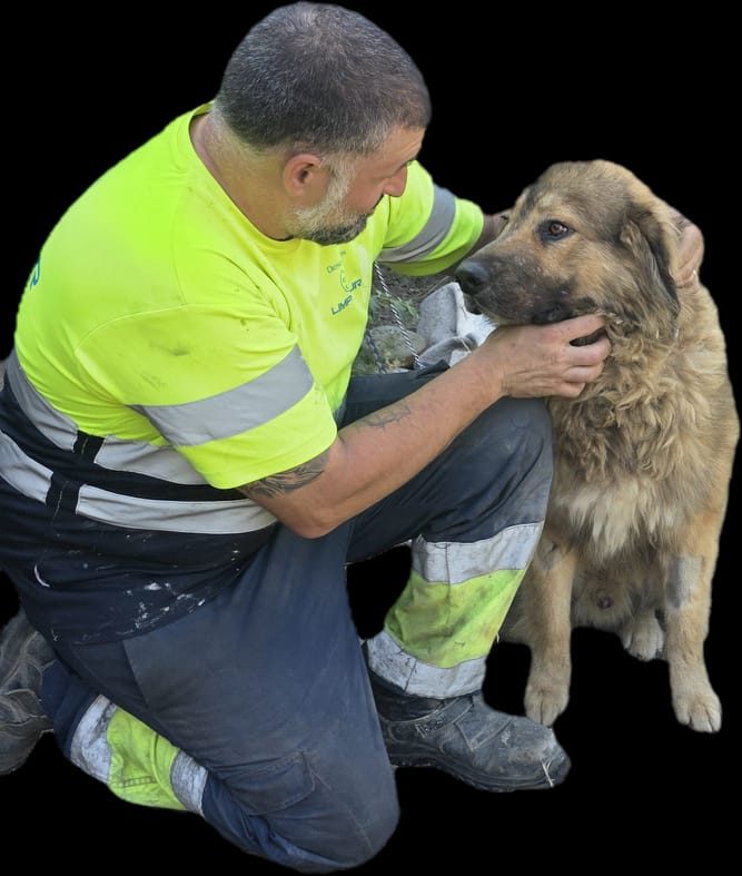 Persona de LIMPSEUR junto a un perro grande