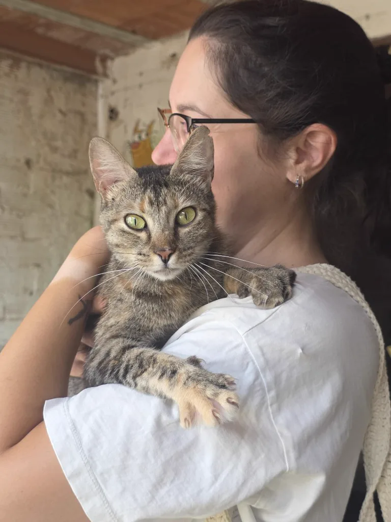 Nina, gata en adopción